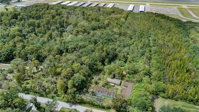 6414 Eureka Springs Rd, Tampa, FL 33610 - photo 4