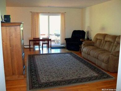 410 Plattekill Ardonia Rd, Plattekill, NY 12586 - photo 6