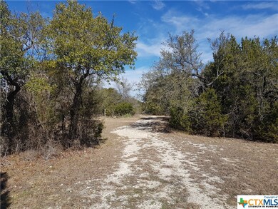 0000 County Road 4820, Kempner, TX 76539 - photo 3