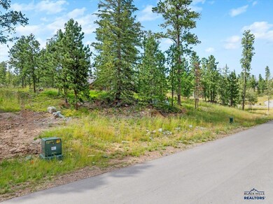 Lot 9 Block 11 Other unit Trailside Road, Lead, SD 57754 - photo 4