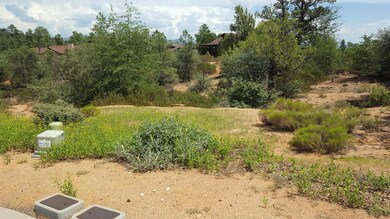 20160825_130223_resized_1