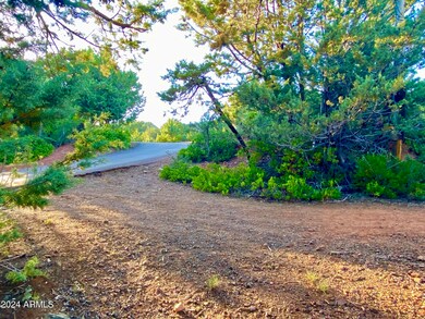 Cypress Hills Lots 17 & 18 --, Pine, AZ 85544 - photo 7