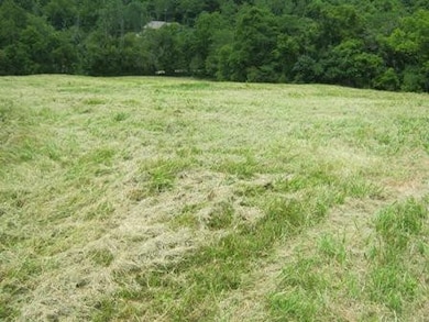 1354 Birdie Rd, Lawrenceburg, KY 40342 - photo 6