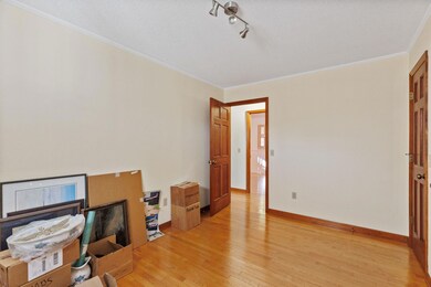 5-web-or-mls-217A4766