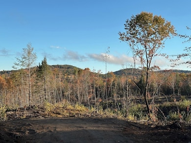 00 Thurley Rd unit 29-4, Ossipee, NH 03814 - photo 4