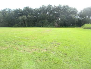 685 John Keigens Memorial Rd, Adel, GA 31620 - photo 3