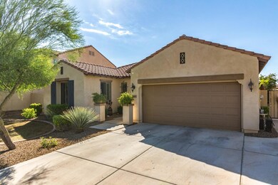 443 W Lantana Pl