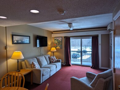 48 Cooper Memorial Dr unit 203, Lincoln, NH 03251 - photo 3