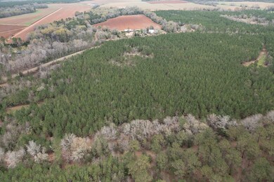 17.1 Jones Rd, Dawson, GA 39842 - photo 3