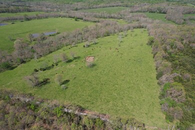 dji_fly_20230508_104200_265_168356102743