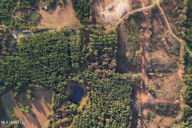 00 Anse Reed Rd, Magee, MS 39111 - photo 5