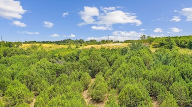 Lot 15 unit High Ridge Court, Mineral Wells, TX 76067 - photo 6