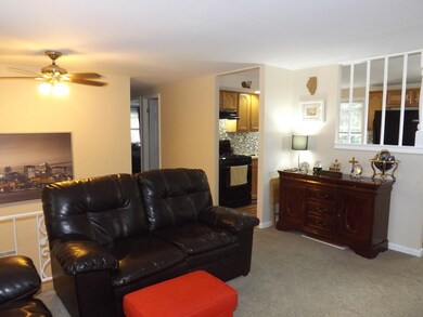 125 Pueblo Rd, Carpentersville, IL 60110 - photo 5