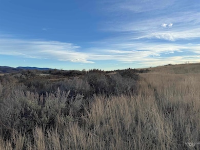 TBD Deer Loop Rd (32 Ac), Council, ID 83612 - photo 2