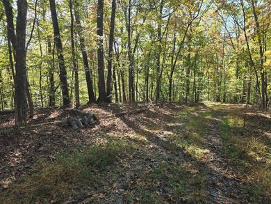 0 Salisbury Rd unit 921737, Eagle Rock, VA 24085 - photo 5