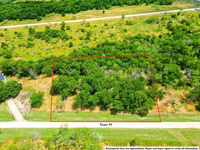 Lot 19 Grison Cir, Corsicana, TX 75109 - photo 6