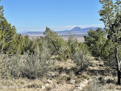 30425 W Conejo Rd, Seligman, AZ 86337 - photo 2