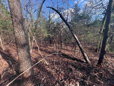 001-03671-002 Arkansas 101, Gamaliel, AR 72537 - photo 5