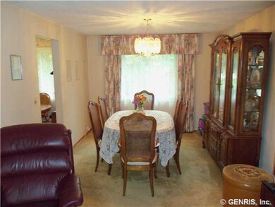 Dining Room Hardwoods under carpeting!