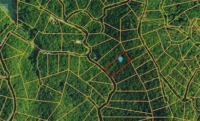 1135 Embry Ct, Ranger, GA 30734 - photo 7