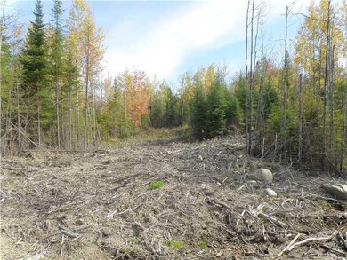 LOT 3&4 Gray Hill Rd, Dover-Foxcroft, ME 04426 - photo 5
