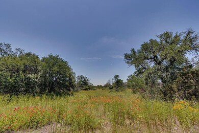217 Thomas Len Rd, Azle, TX 76020 - photo 4