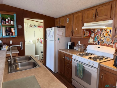 1305 N Silver St, Truth Or Consequences, NM 87901 - photo 4
