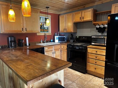 717 Deep Gap Rd, Burnsville, NC 28714 - photo 5