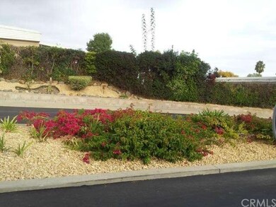 Colorful and Low Maintenance