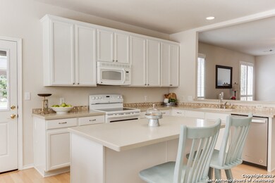 21406 Encino Ash, San Antonio, TX 78259 - photo 7