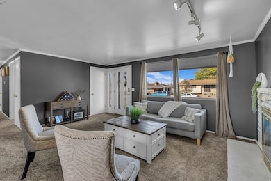 Living room with a fireplace with flush hearth, rail lighting, ornamental molding, and carpet floors