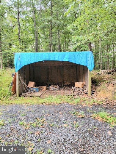 335 Thunder Rd, Front Royal, VA 22630 - photo 5