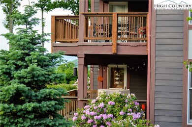 518 Indian Paintbrush Dr unit RO-1 Echota on the R, Banner Elk, NC 28604 - photo 2