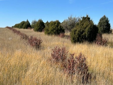 TBD Cherry Rd, Fifteen Precinct, NE 69348 - photo 7