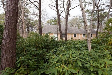 foliage