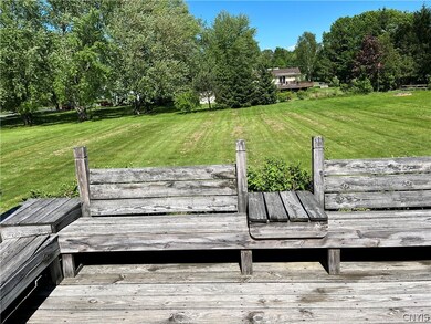 Back yard view