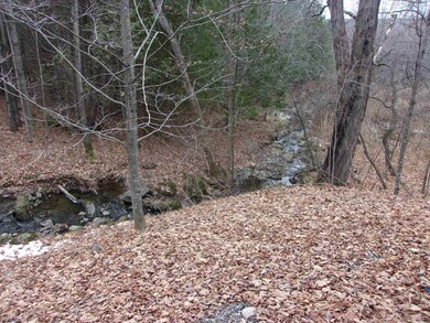 908 W Glover Rd, Irasburg, VT 05845 - photo 6