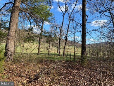 Lot 9 Jones Farm Rd, South River, VA 22610 - photo 7