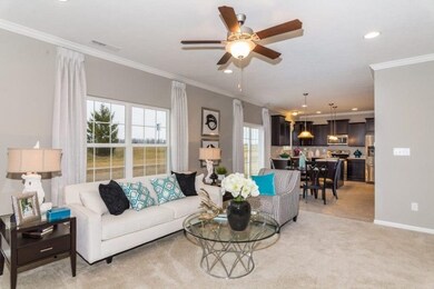 8183 Ambrosia Ln, Pendleton, IN 46064 - photo 5