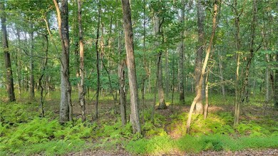 1000 Towamensing Rd, Towamensing Township, PA 18235 - photo 5