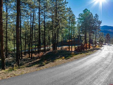 119 Hideout Trail, Durango, CO 81301 - photo 2