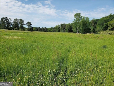 8143 E Cherokee Dr, Canton, GA 30115 - photo 5