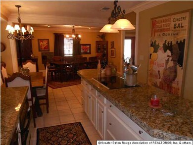Kitchen open to breakfast area and dining room