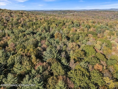 1573 Cork Hill Rd, Brackney, PA 18812 - photo 7