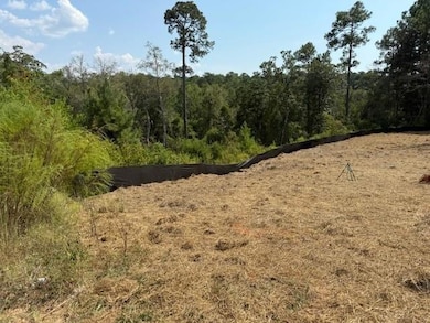 8319 Pine Run, Daphne, AL 36527 - photo 3