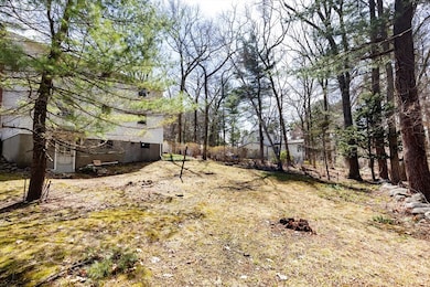 53 Freemont St, Lexington, MA 02421 - photo 5