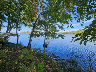 Nelson Lake