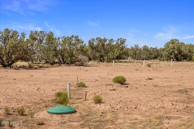 8804 Johnson Hill Trail, Snowflake, AZ 85937 - photo 6