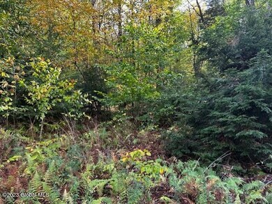 L15 S Shore Rd, Hadley, NY 12835 - photo 4