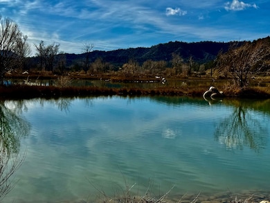 7149/7498 Cr 213, Durango, CO 81301 - photo 7